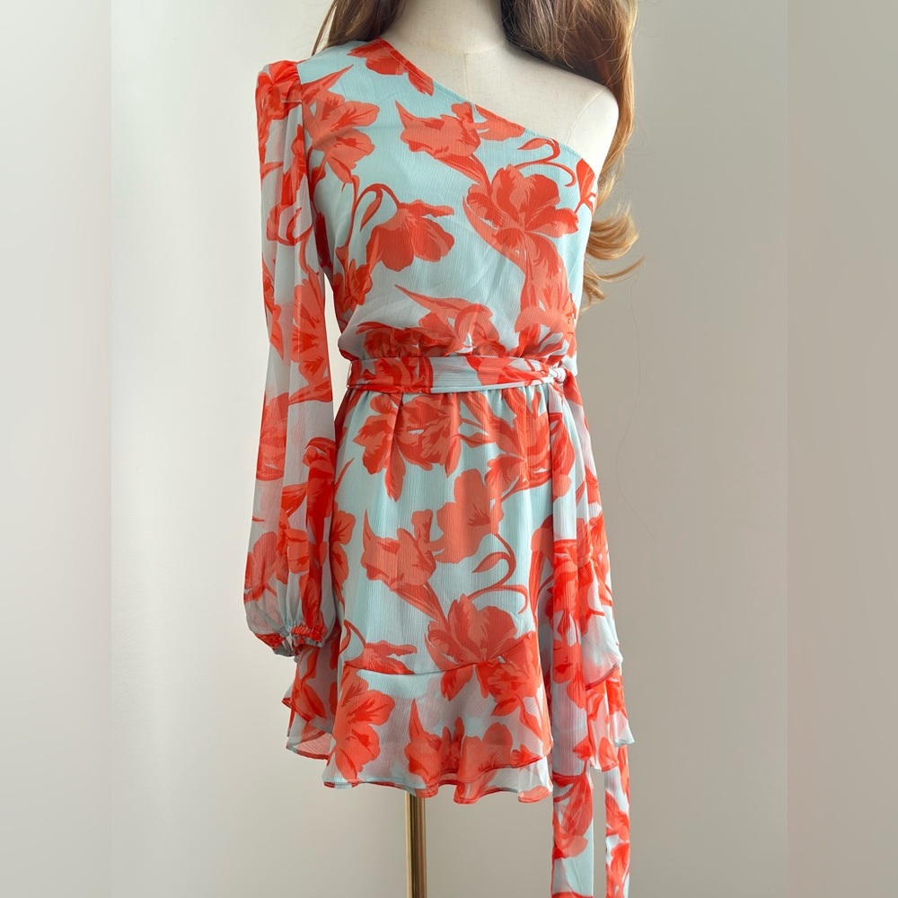 Vici Brand One Shoulder Mini Dress, Small